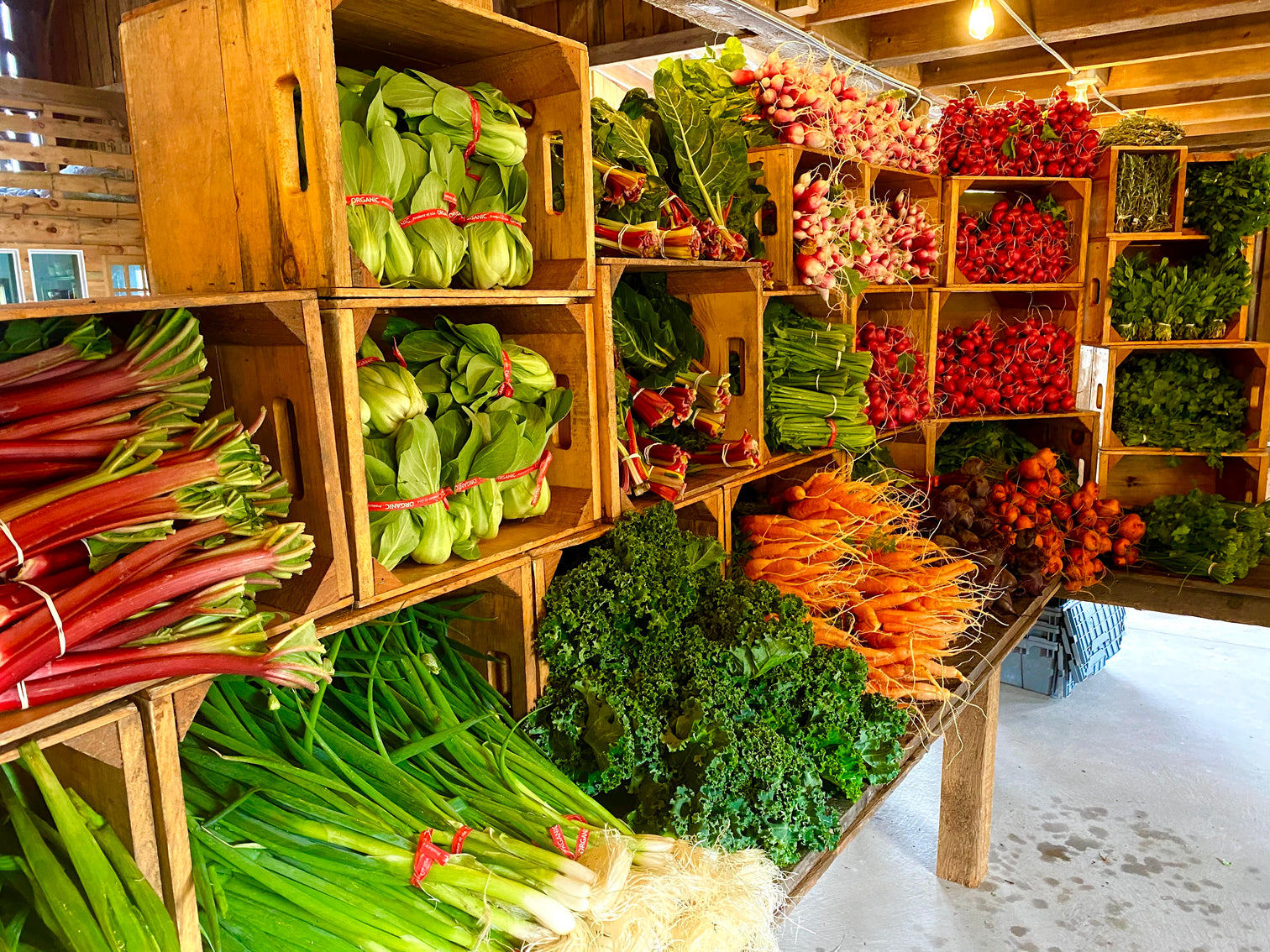 Neversink Farm Course Store – Neversink Farm