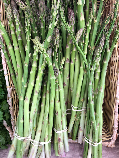 Products – Neversink Farm